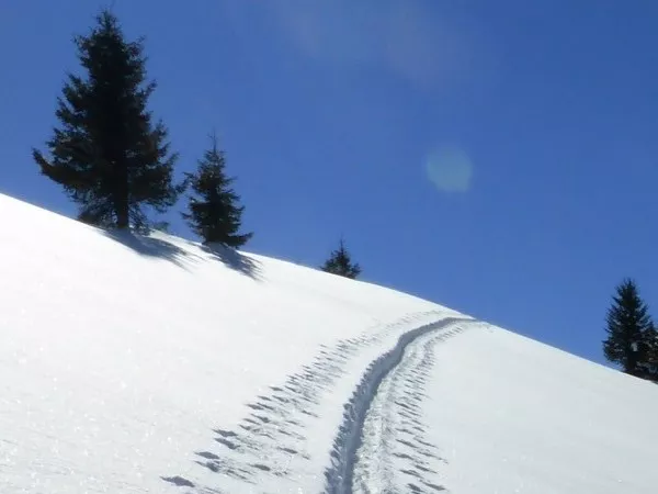 WEEKEND DISCOVERY SKI TOURING