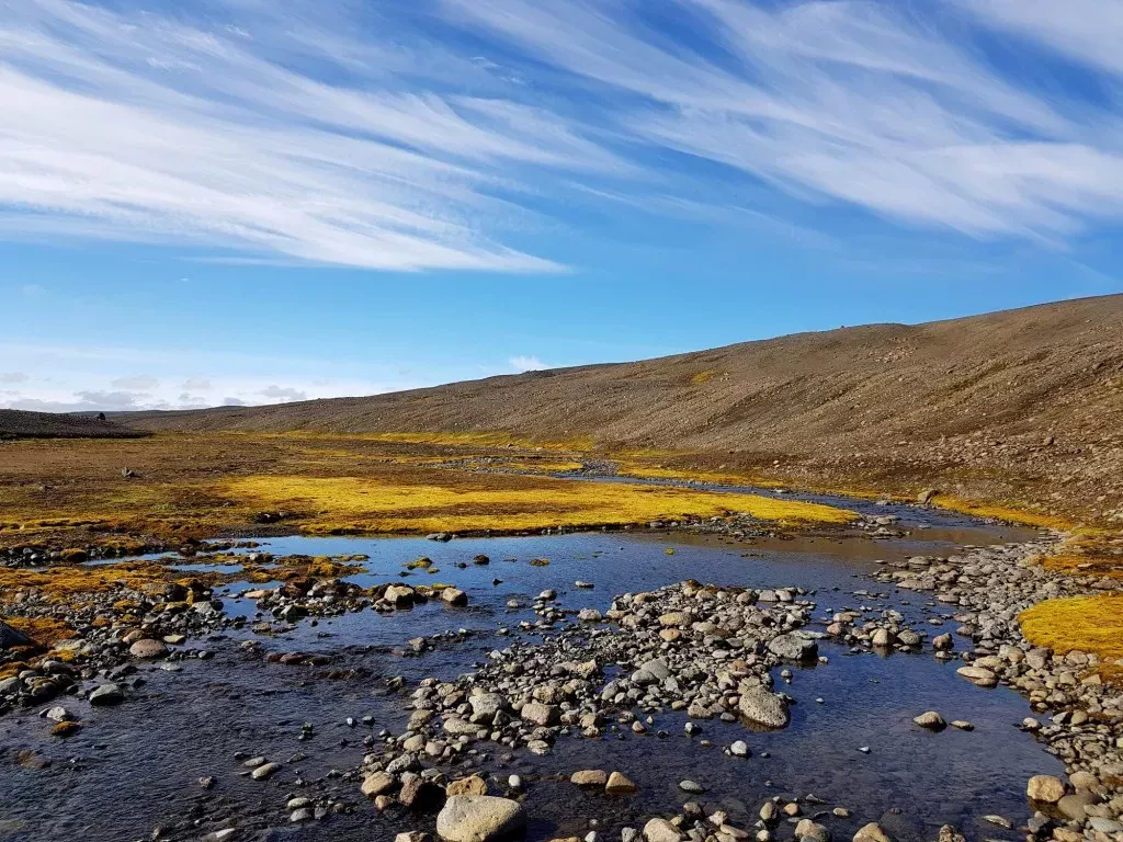 media-libraryaf2lhopmjo0i6BmpoNm