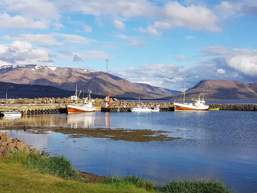 media-library579hdaun1tfp8n3Z1Rl