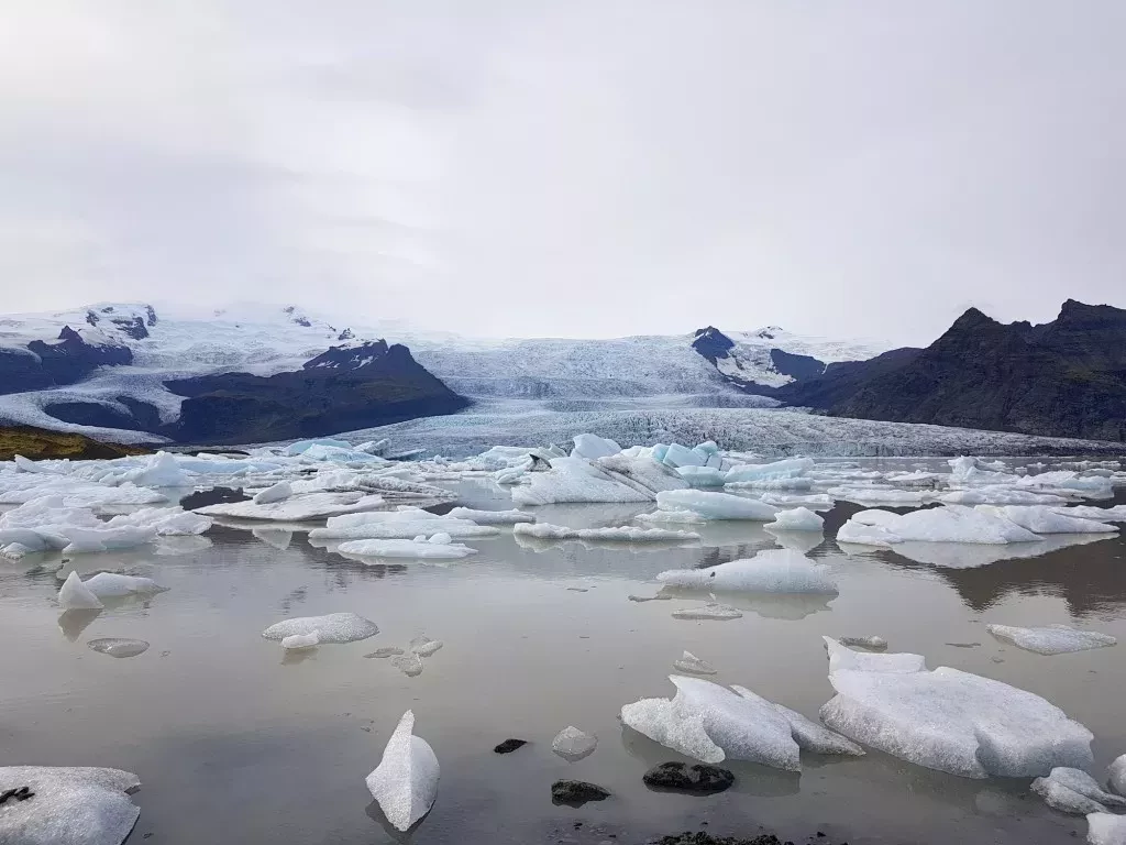 media-libraryjp795dr0nd5019NjDGn