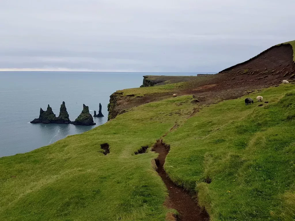 media-libraryptlb0caghokqcHqr4eo