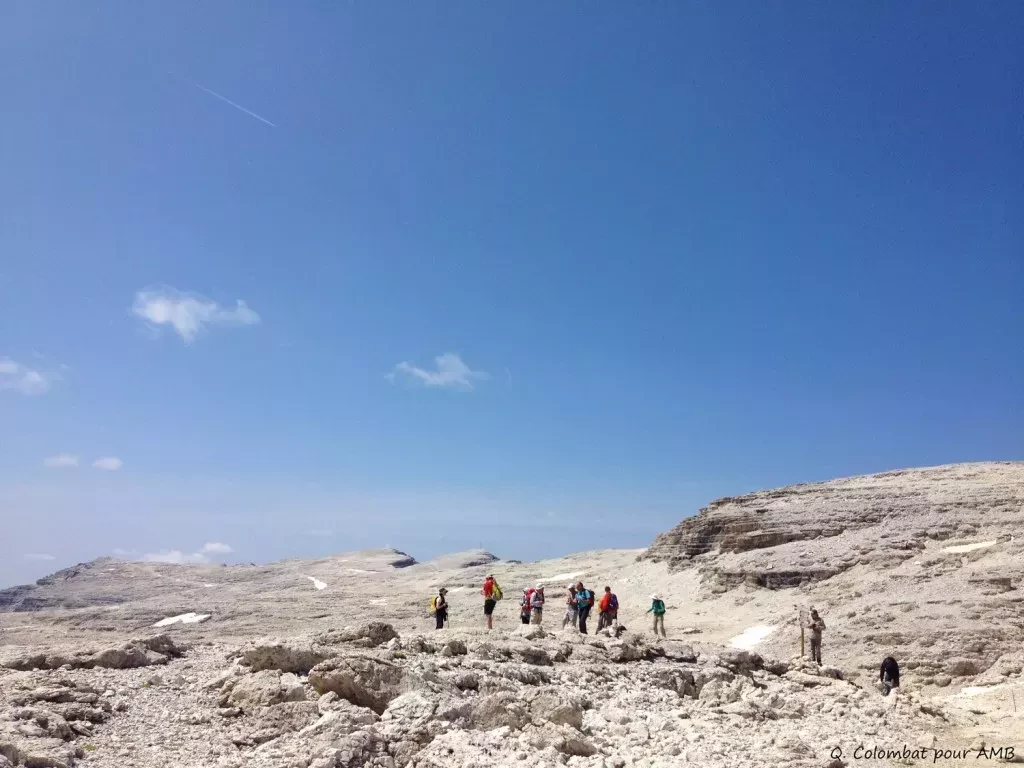 media-library2vua1l5iuoneeYAVf0l