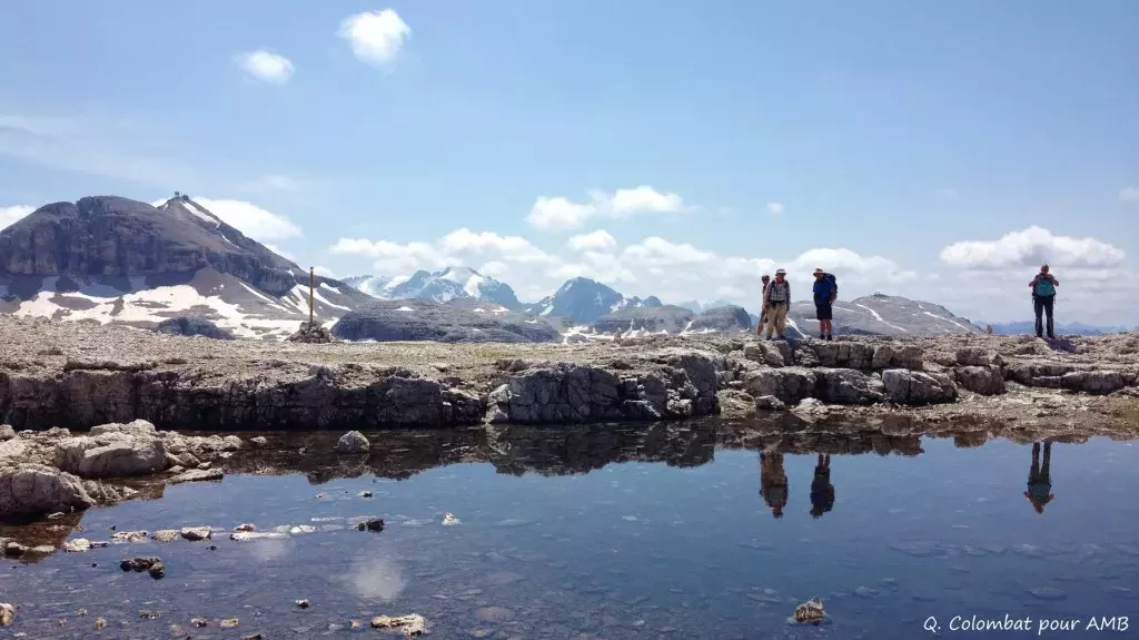 media-libraryfrmqdpfn6inf09Df9Ho