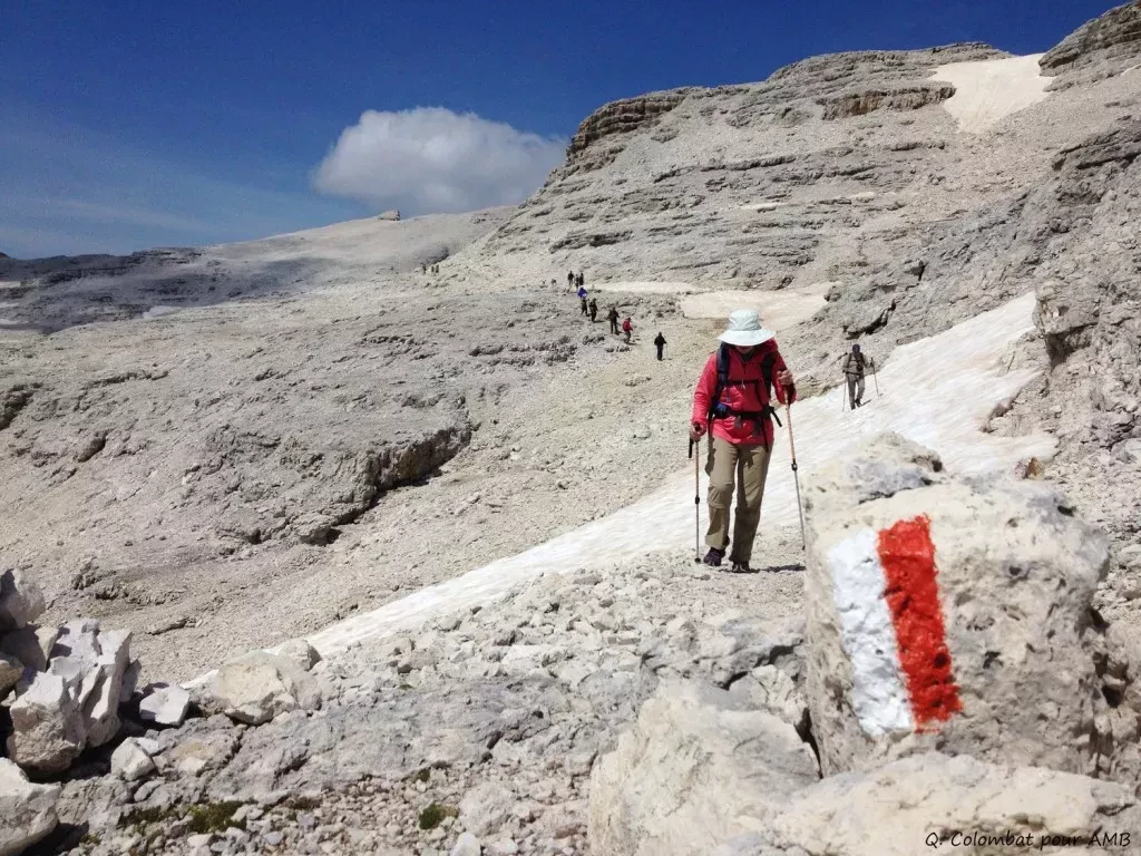 media-libraryt0nt6fg33goreabuBRm