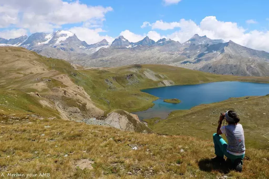 media-libraryl8jjm3t0kn4n46rXvwl