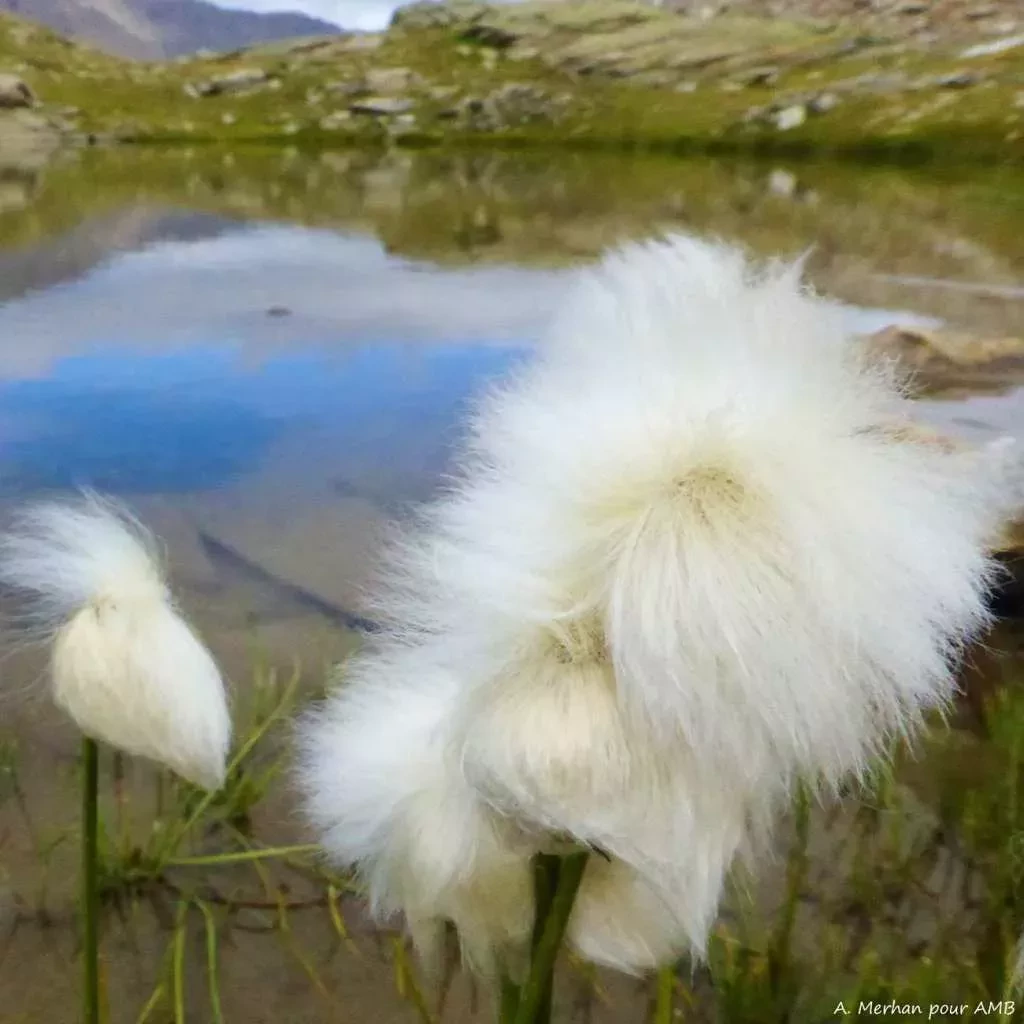 media-libraryuhgafn3nue9f7qoNnHp