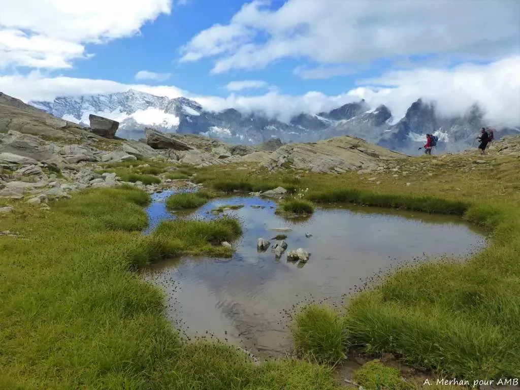 media-library41rsmpadlr5k9itn3Vl