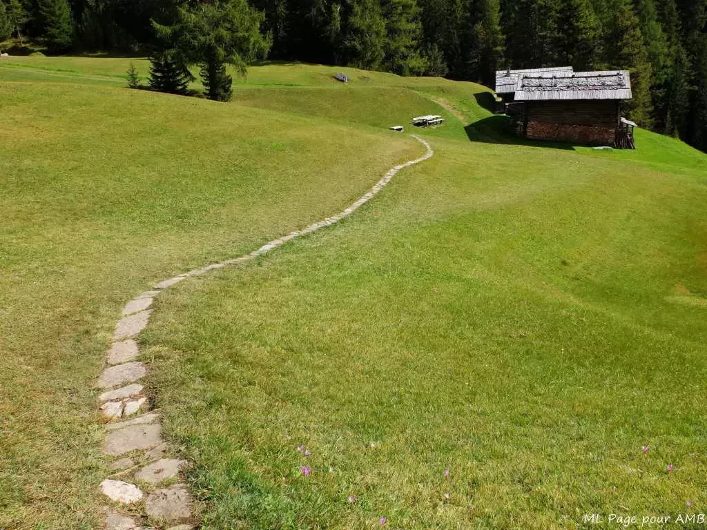 media-libraryubmi27hgqucjeJtlQ2l