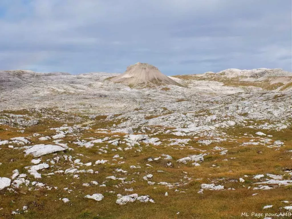 media-libraryp3a7i919ue9adEYAiSm