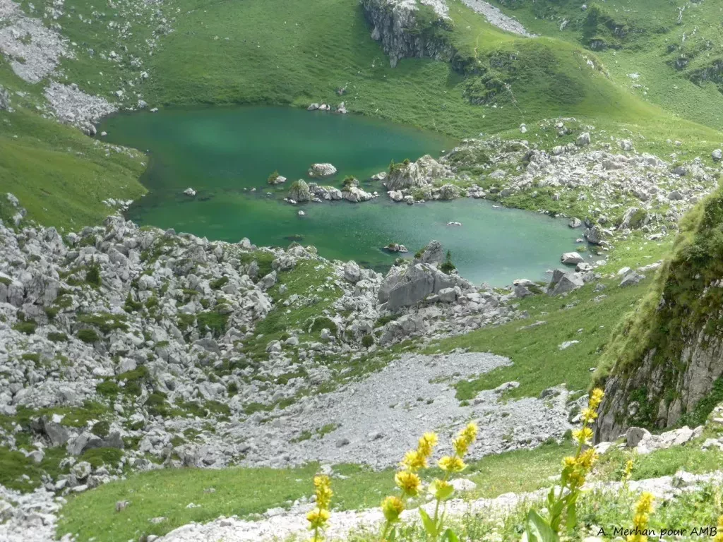 media-library5m71719v5rrif7rUgVo