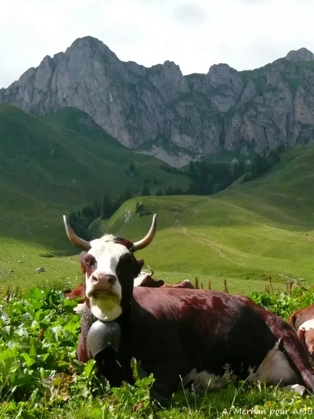 media-librarymvt7sffk4vpp1vFx5Rm