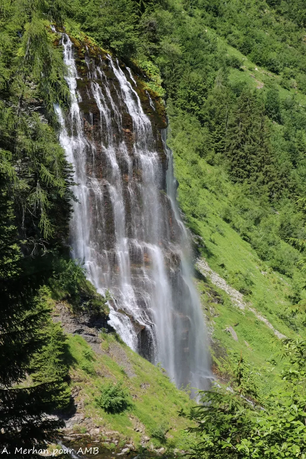 media-libraryq8p4gst0r1ss4FNfkwn