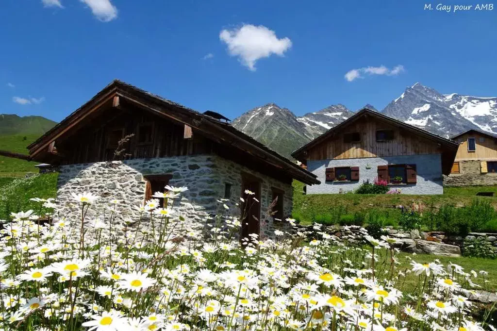 media-library9v4dh58rbbmc5ucZ5In