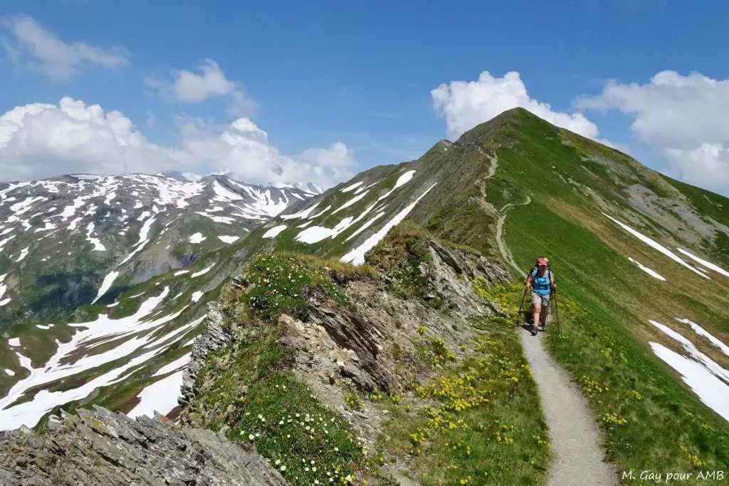 media-librarya807cgku85kr6W5Z8en