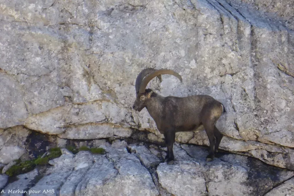 media-libraryc504k5lojul91mXPN4m