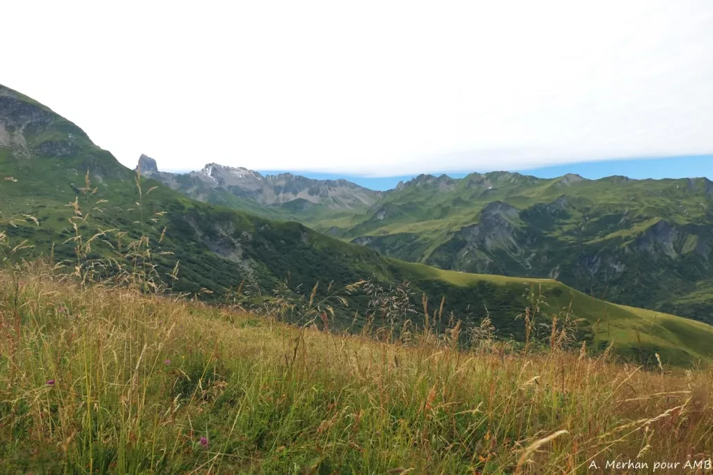 media-librarysv700f15faui1jd83En