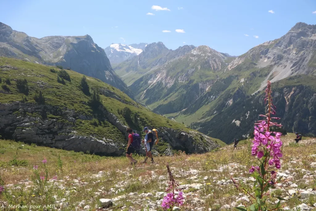 media-libraryjh2s5f8nkopv92H7fnp