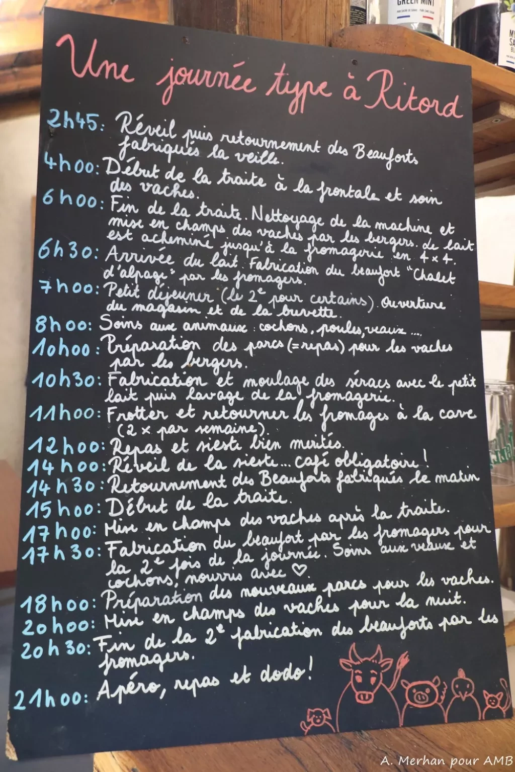 media-librarytqcd9buah1bs2q7eEzn