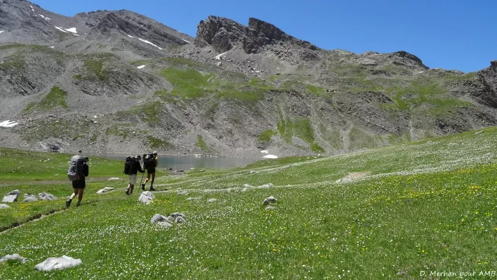 media-librarye09hqig6lbm1dPUvAbn