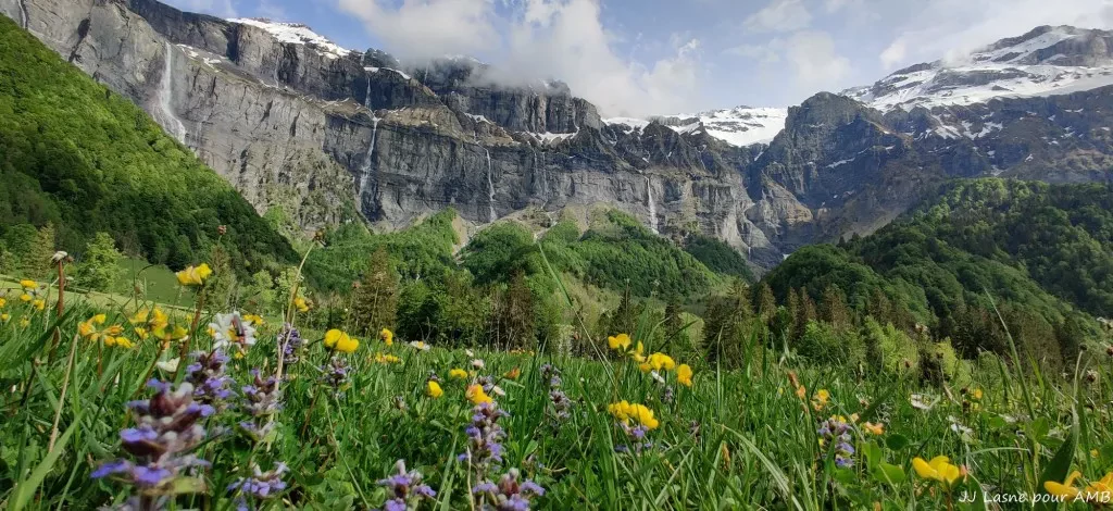 media-library950ffhe08gp366SdIco