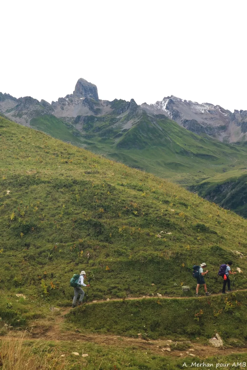 media-library6sj98ig2t6kl4y3BFQp