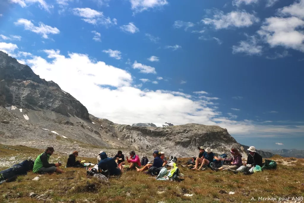 media-librarymibo6lhgfj58aTAPS0o