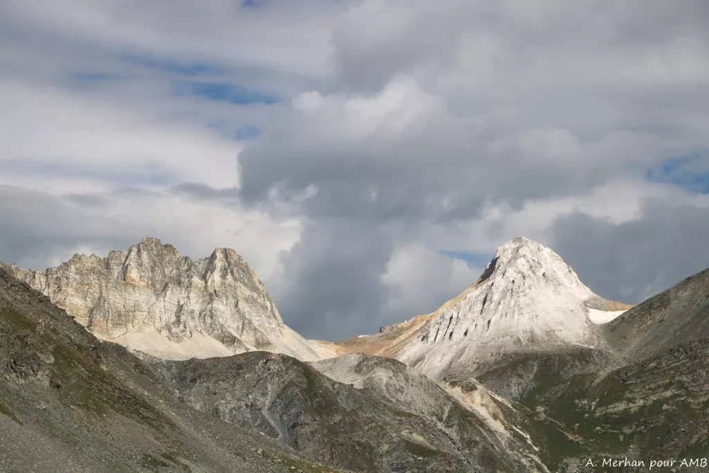 media-library1nv4ppgm19ph8yvPvLp