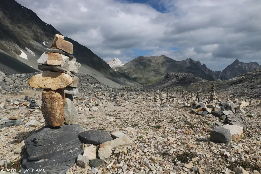 media-library1dqkvakfs1hl1Be49jp