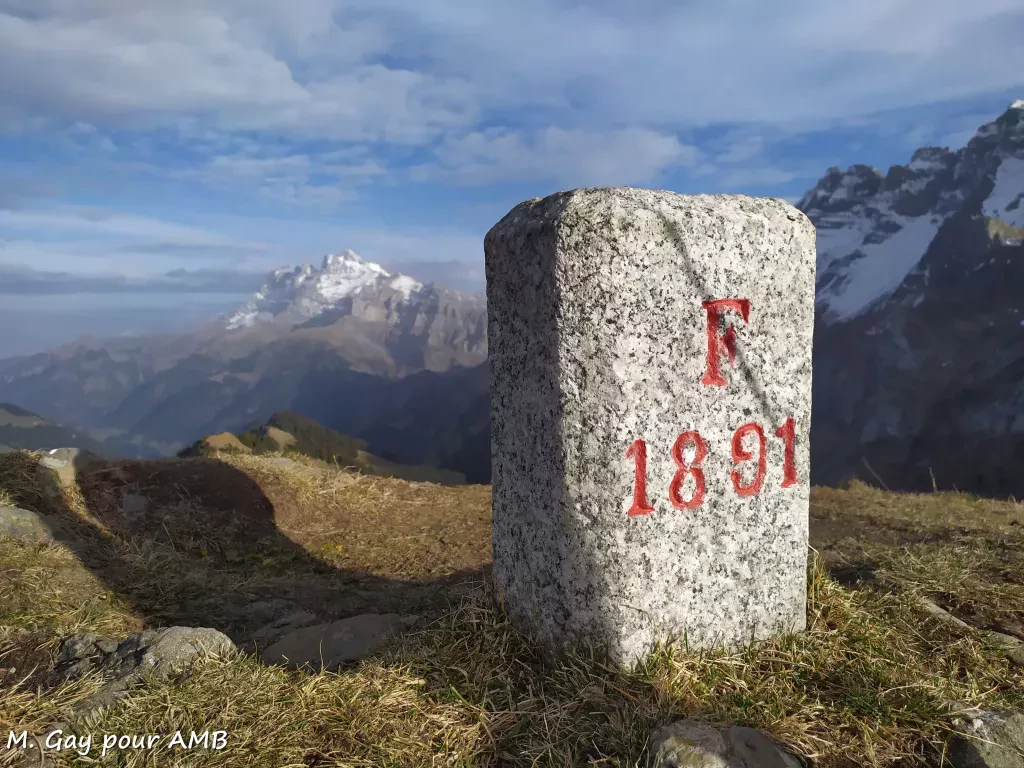 media-library8jjc6p7v90hh9rQyjLp