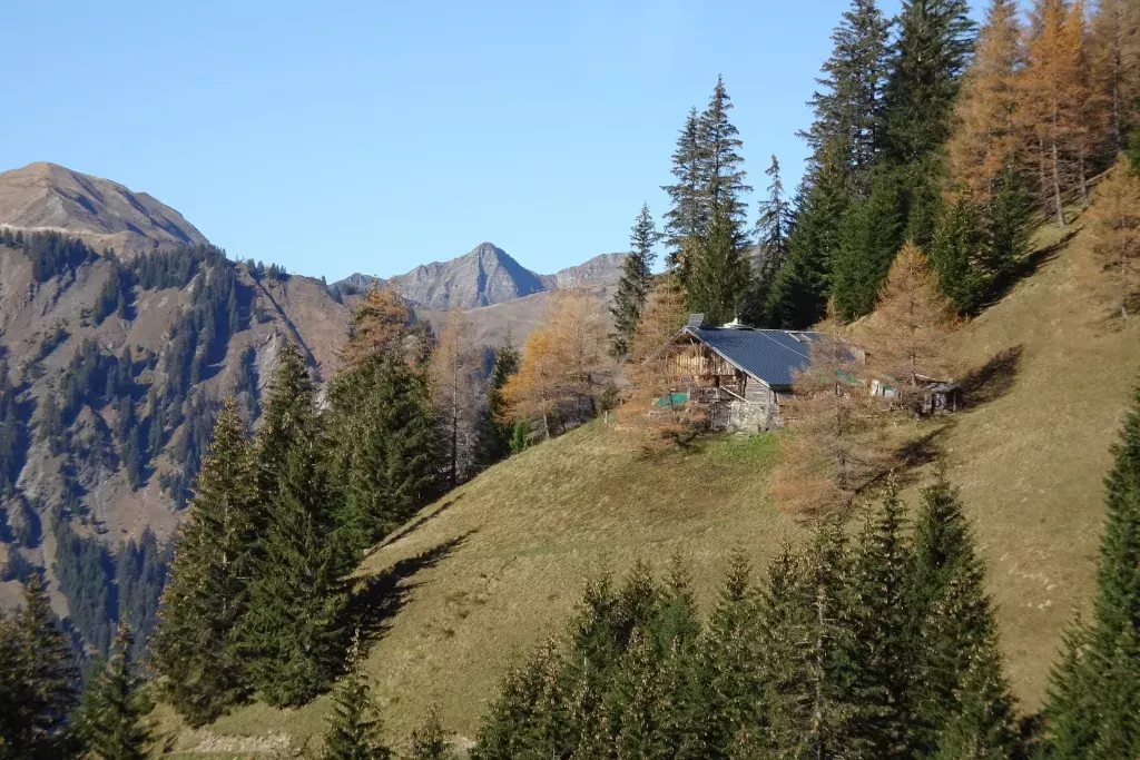 media-library9d05h543jltcdlH9G9o