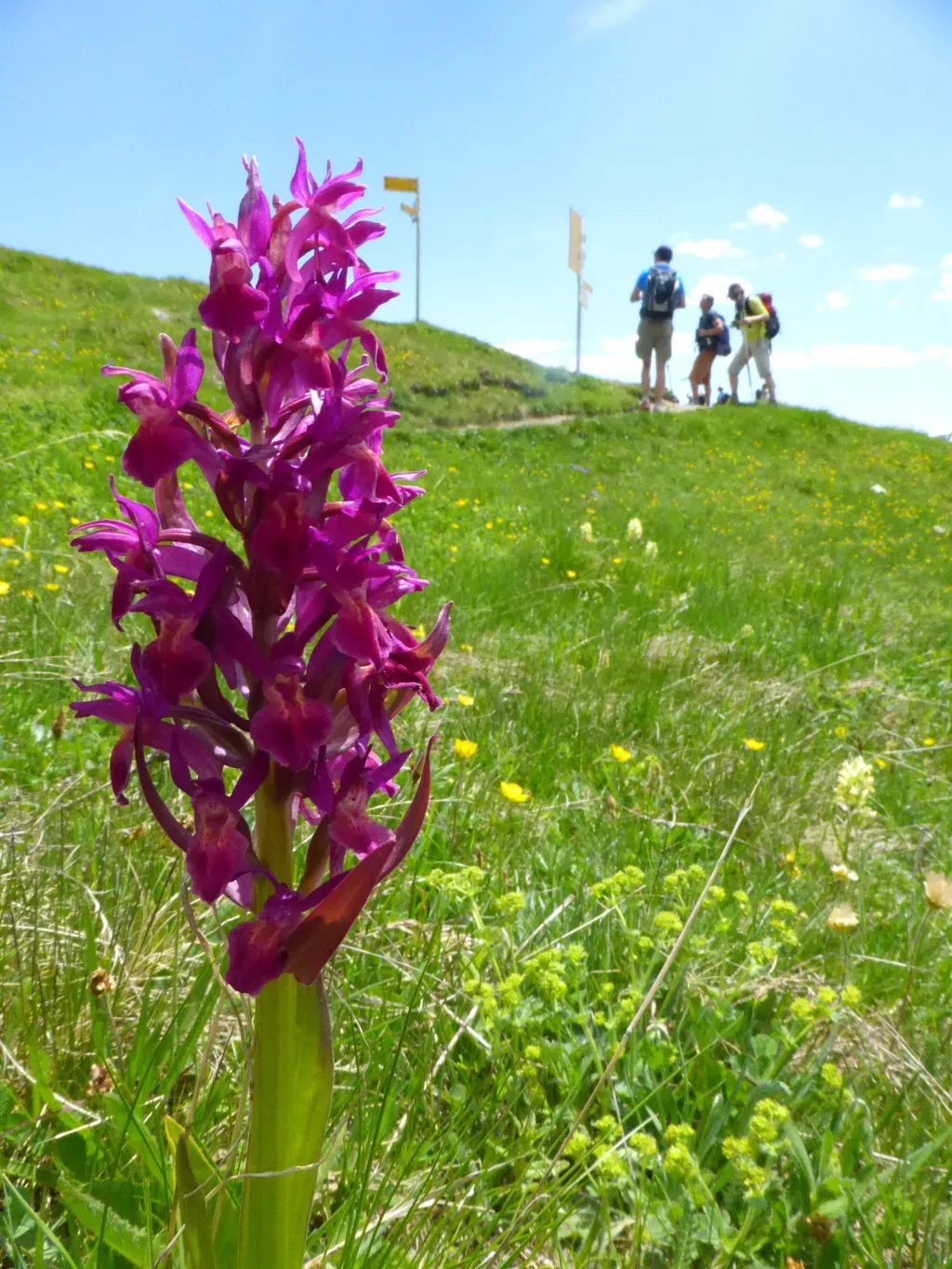 media-libraryojr4p6pj1f7p8V5CDTl