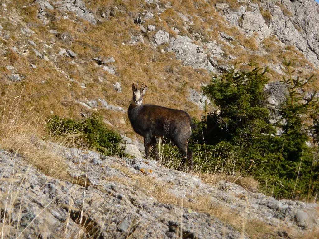 media-libraryckukqhk3aieb2aHhCPo