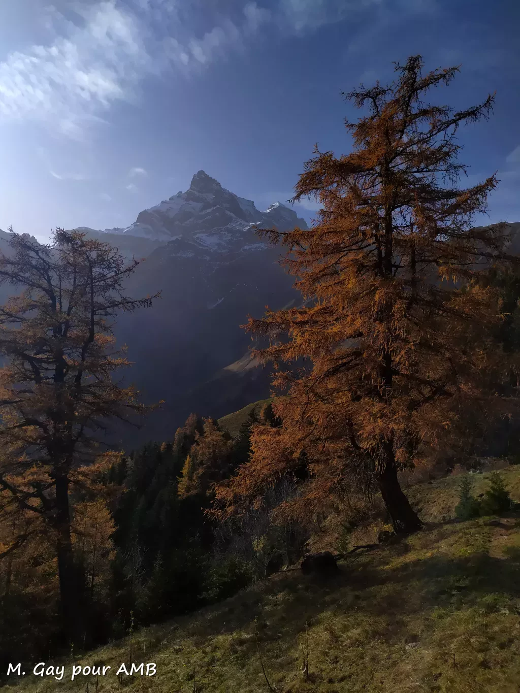 media-libraryp0t3te9qraioaz8wcHl