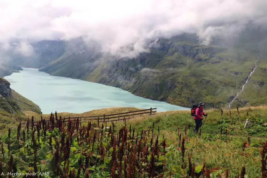 media-libraryabltqad8s2lp2mYAq6l