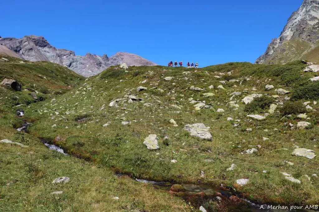 media-library8csi0jn1mnv01LgWeGm