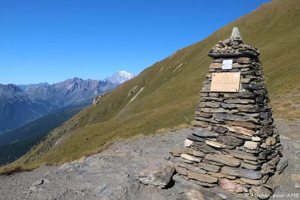 media-libraryqq7j1tdlvu63aJlFLCn