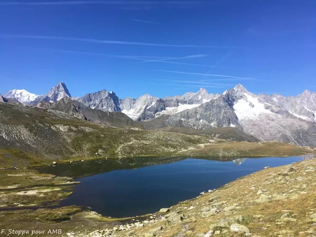 media-libraryasv8fa03alpj6aNodVo