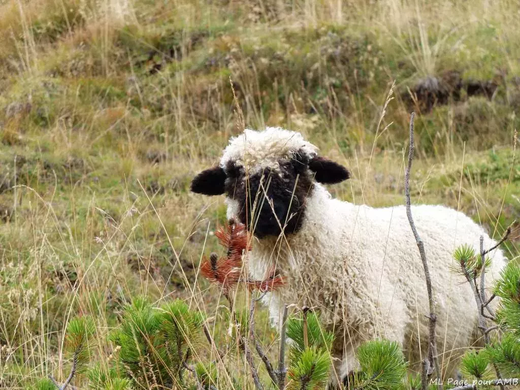 media-libraryvp8k3fg9f9j26W12C4p