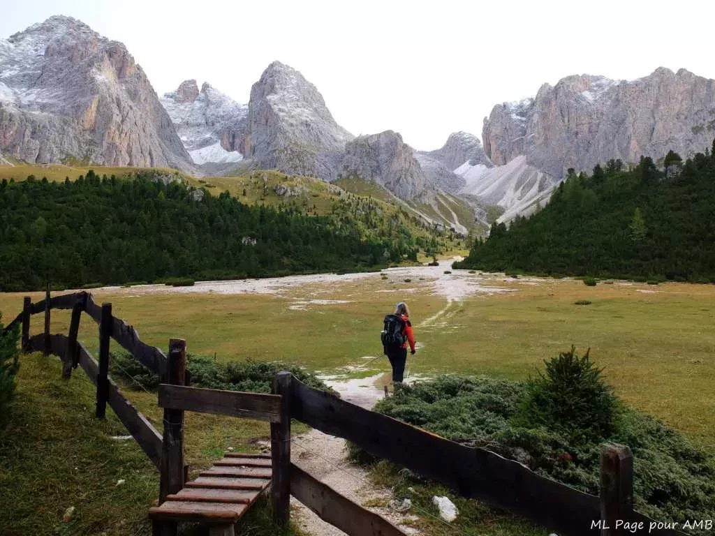 media-libraryrr0at80fv3jtf5pa5Qn