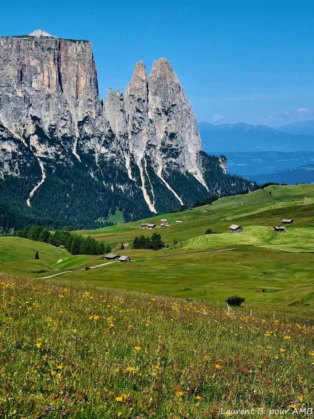 media-libraryemun55e3spha3uCUxkn