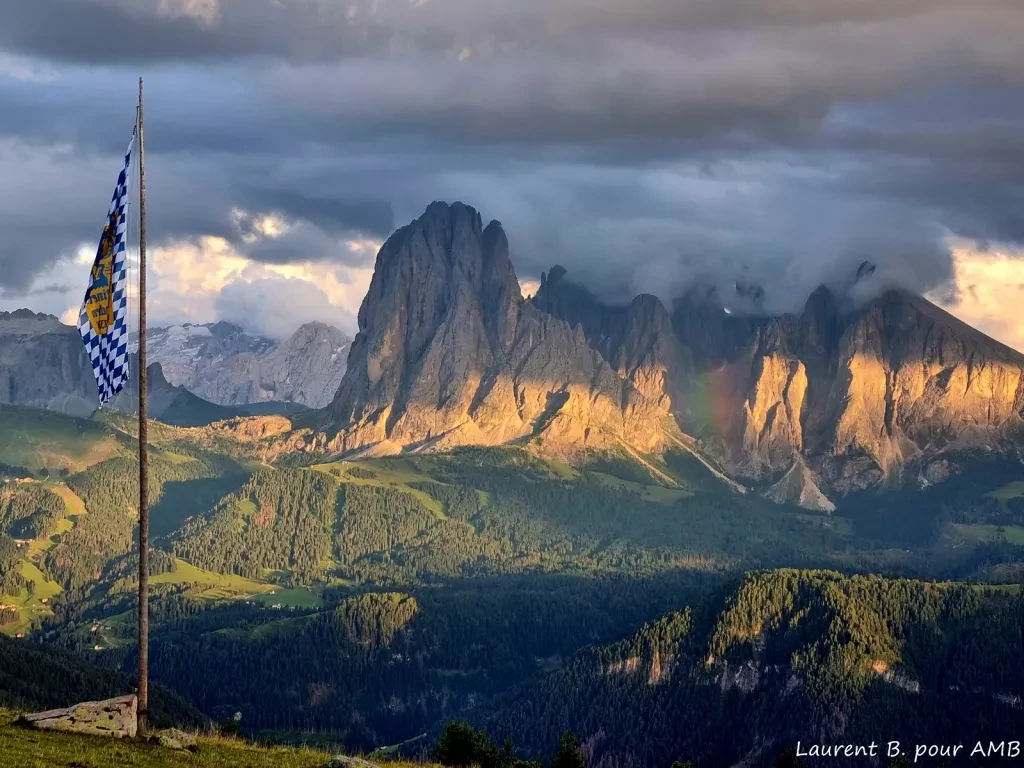 media-libraryns12h6kpt4lecx8mNNo