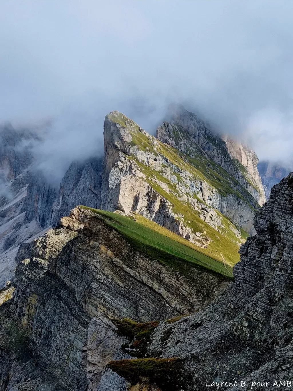 media-libraryc0dog2jla72s0qIxQDp