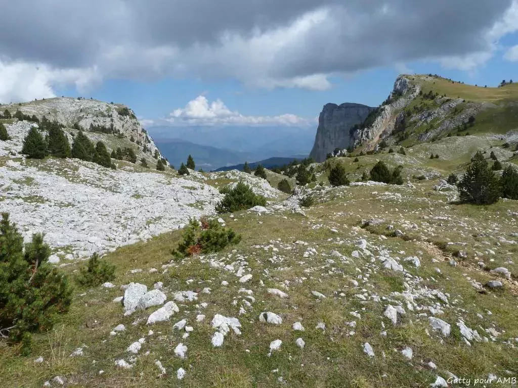 media-libraryr0ou47jcl24g5zXkt0m