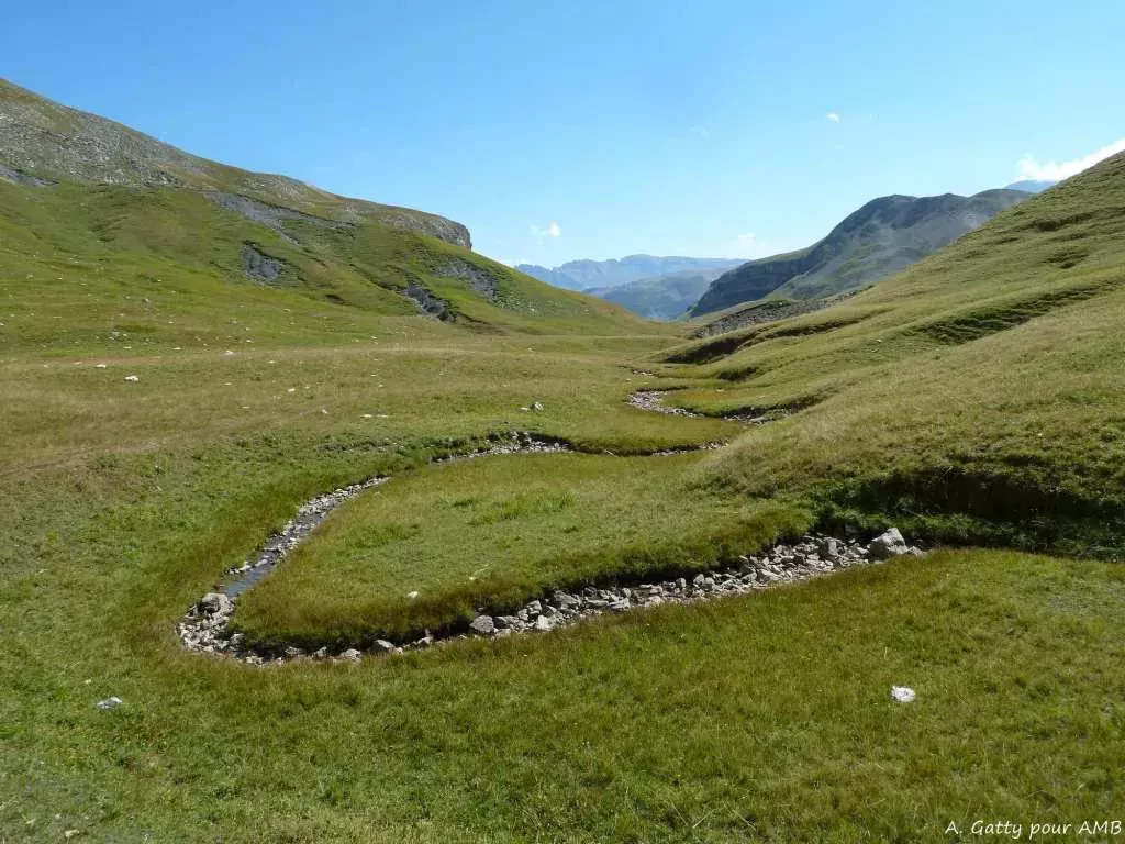 media-libraryjj5vv3f8ijqd1OHbtMn