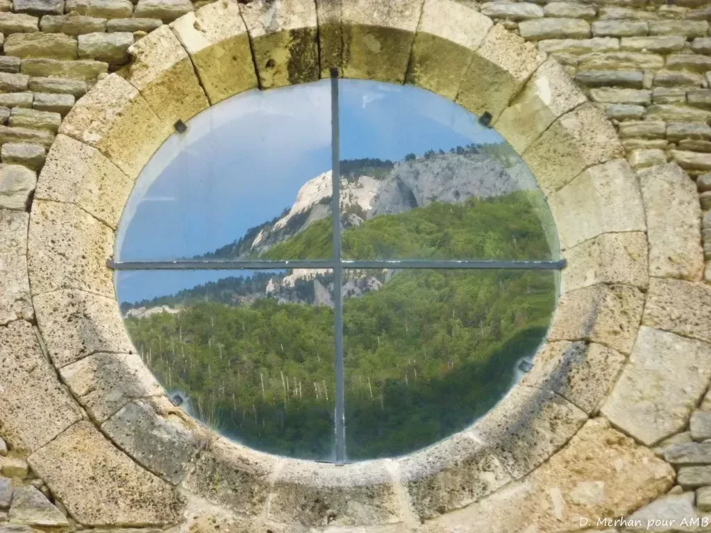 media-libraryn5csfch8kcmq6oxzhro