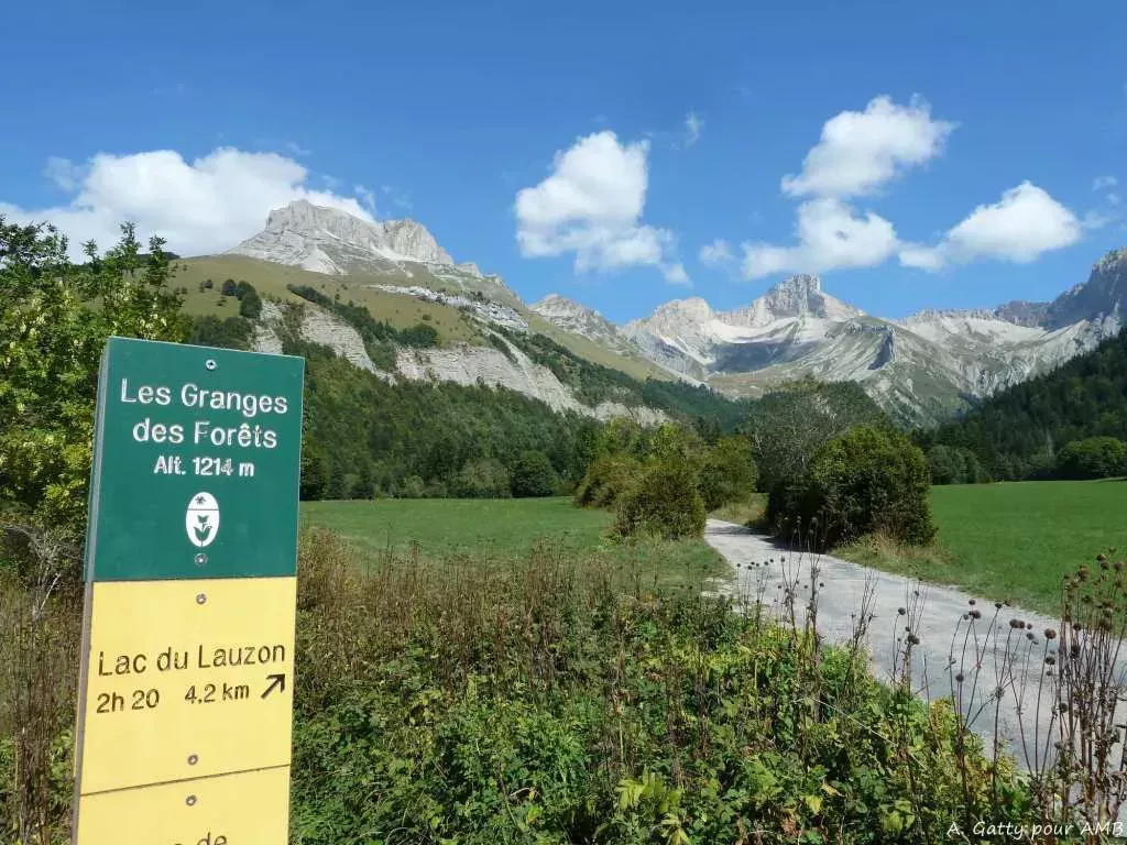 media-libraryc5amscqf0nvg7xdhVgm