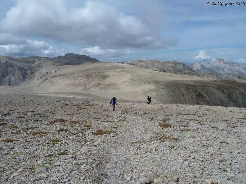 media-libraryd1dfiqas5i4g8chVuPp