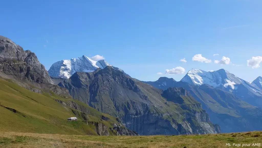 media-libraryua5ast2ss7bieF7LNMo