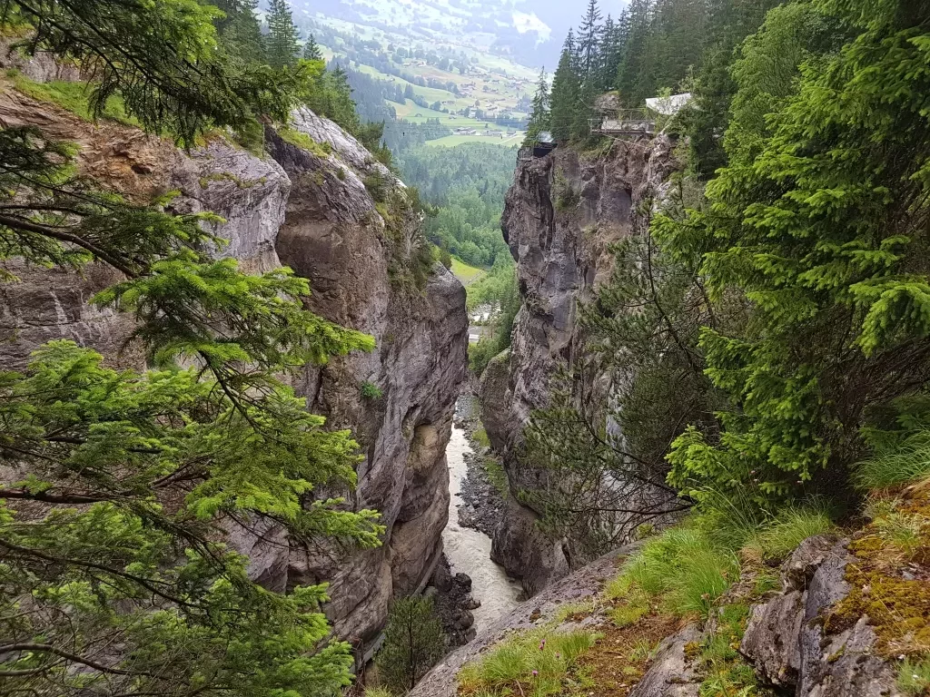 media-library5th5m20309tu4dqYvVo