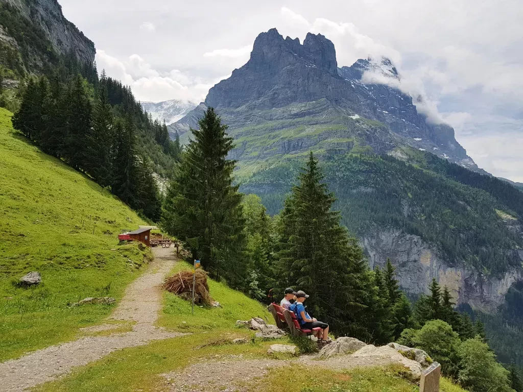 media-library0s632bgs6qhl2G6J4Fm